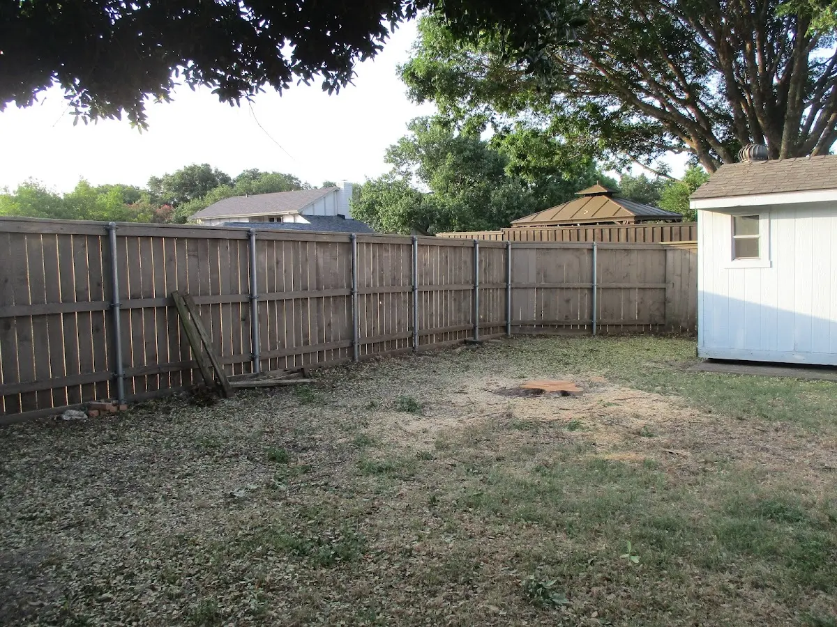 Cleared yard after professional tree removal in Luxemburg